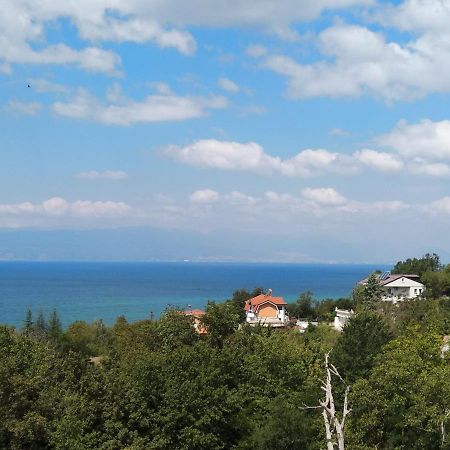 The Brothers Villa Hotel Ohrid Eksteriør billede
