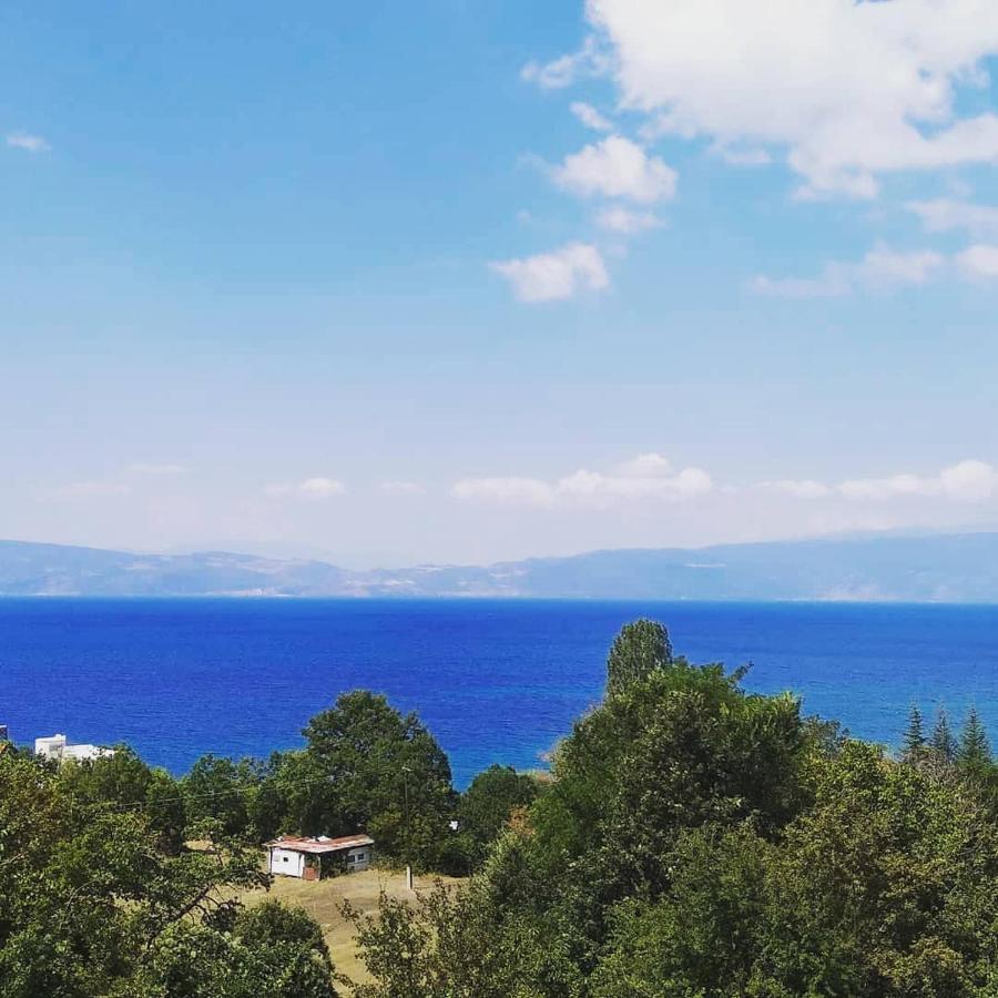 The Brothers Villa Hotel Ohrid Eksteriør billede