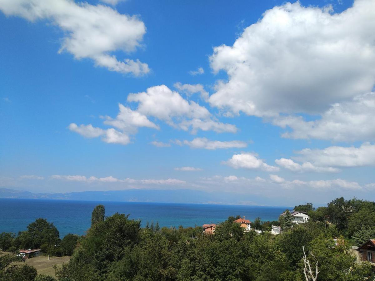 The Brothers Villa Hotel Ohrid Eksteriør billede