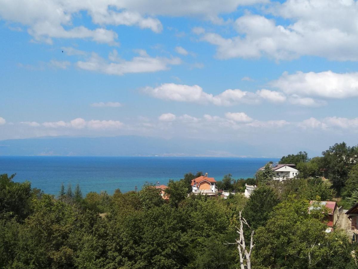 The Brothers Villa Hotel Ohrid Eksteriør billede