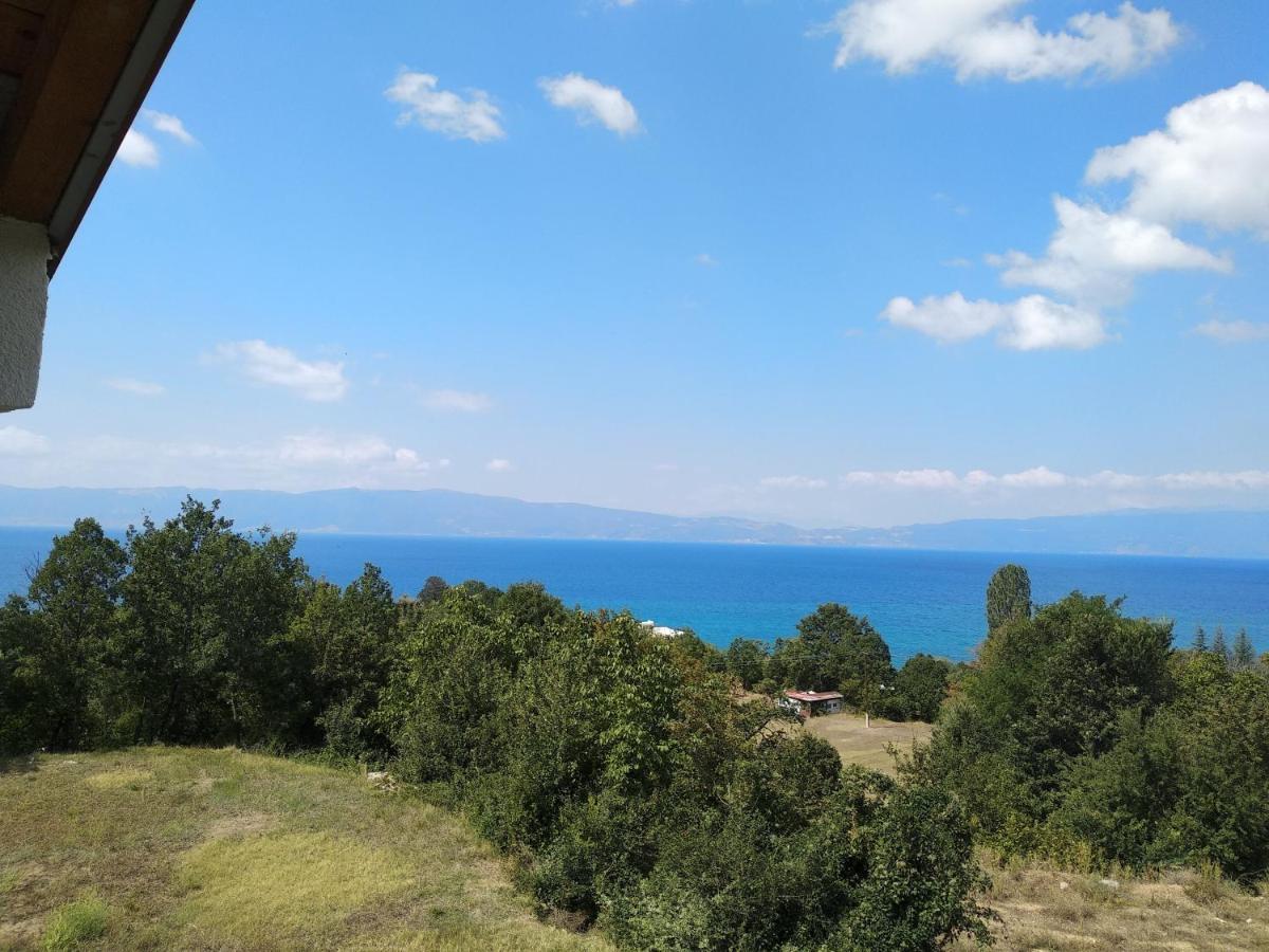 The Brothers Villa Hotel Ohrid Eksteriør billede