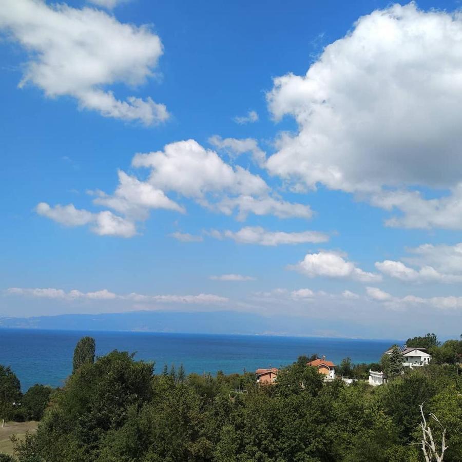 The Brothers Villa Hotel Ohrid Eksteriør billede